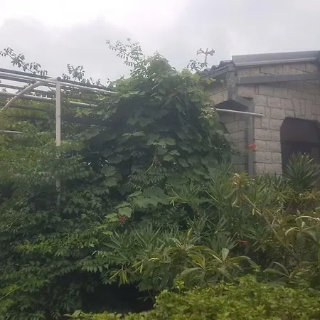 Apartment New Comfortable App Dora *